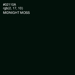 #02110A - Midnight Moss Color Image